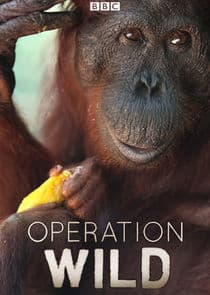 Operation Wild thumbnail
