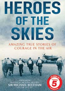 Heroes of the Skies thumbnail