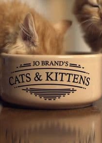 Jo Brand's Cats and Kittens thumbnail