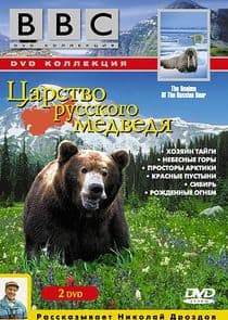 Realms of the Russian Bear thumbnail