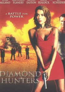 The Diamond Hunters thumbnail