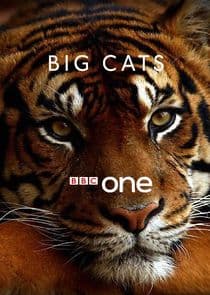 Big Cats thumbnail