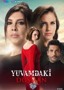 Yuvamdaki Düşman thumbnail