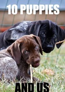 10 Puppies and Us thumbnail