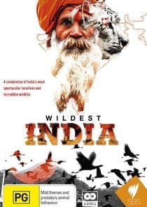 Wildest India thumbnail