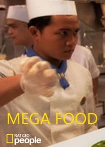 Mega Food thumbnail