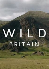 Wild Britain thumbnail