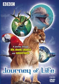 Journey of Life thumbnail