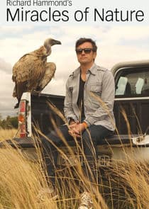 Richard Hammond's Miracles of Nature thumbnail