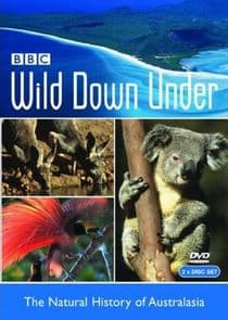 Wild Down Under thumbnail