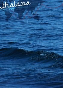 Thalassa thumbnail