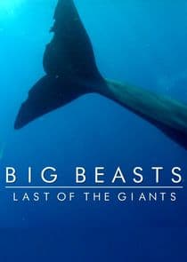 Big Beasts: Last of the Giants thumbnail