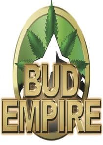 Bud Empire thumbnail