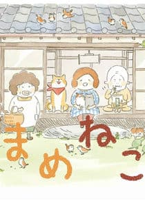 Mame Neko thumbnail