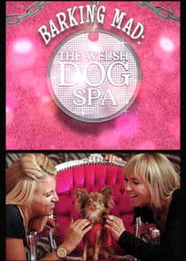 Barking Mad: The Welsh Dog Spa thumbnail