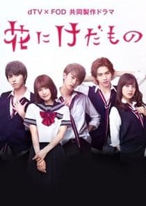 Hana ni Kedamono thumbnail