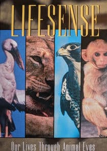 Lifesense thumbnail