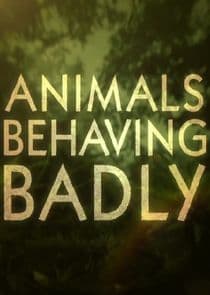 Animals Behaving Badly thumbnail
