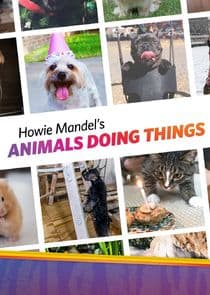 Howie Mandel's Animals Doing Things thumbnail