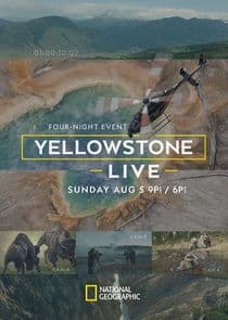 Yellowstone Live thumbnail