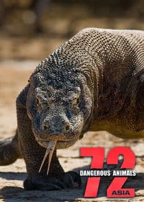 72 Dangerous Animals: Asia thumbnail