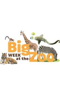 Big Week at the Zoo thumbnail