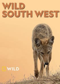 Wild South West thumbnail