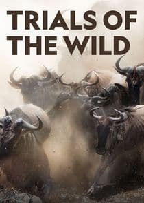 Trials of the Wild thumbnail