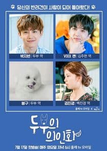 Tofu Personified thumbnail
