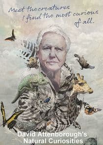 David Attenborough's Natural Curiosities thumbnail