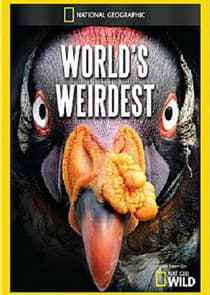 World's Weirdest thumbnail