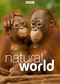 Natural World thumbnail