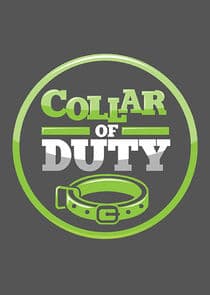 Collar of Duty thumbnail