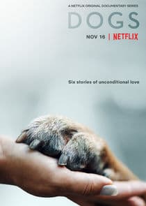 Dogs thumbnail