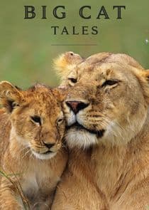 Big Cat Tales thumbnail