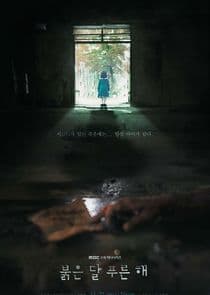 Children of Nobody thumbnail