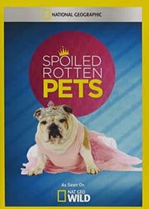 Spoiled Rotten Pets thumbnail