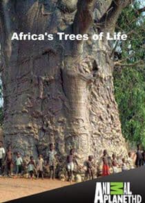 Africa's Trees of Life thumbnail