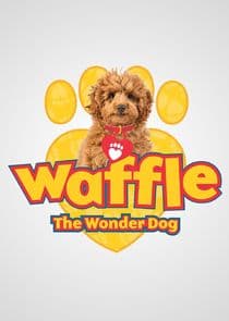 Waffle the Wonder Dog thumbnail