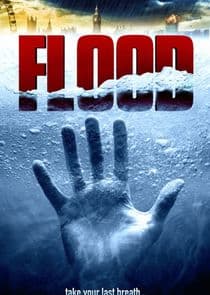Flood thumbnail