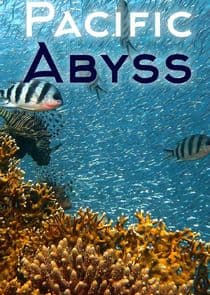 Pacific Abyss thumbnail