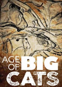 Age of Big Cats thumbnail