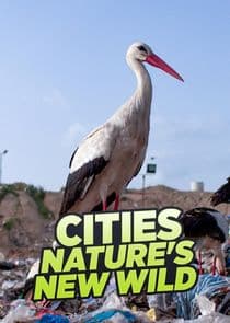 Cities: Nature's New Wild thumbnail