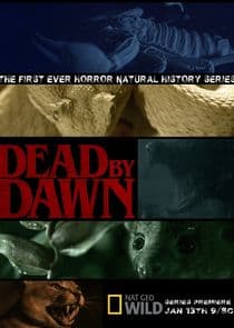 Dead by Dawn thumbnail