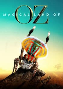 Magical Land of Oz thumbnail