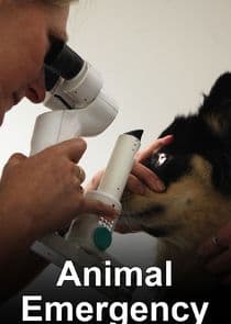 Animal Emergency thumbnail