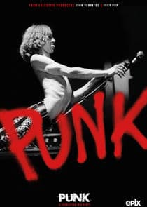 Punk thumbnail