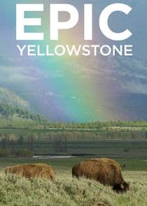 Epic Yellowstone thumbnail