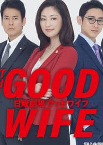 The Good Wife thumbnail