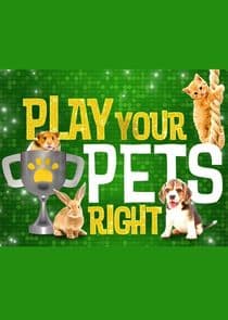 Play Your Pets Right thumbnail